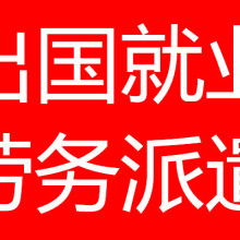 信息咨詢服務(wù) 連接知識與需求的橋梁